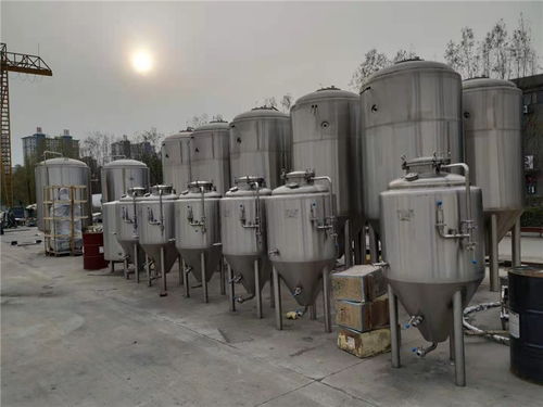 天津市自酿鲜啤设备厂家直销